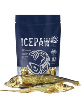 ICEPAW suszone śledzie 100g