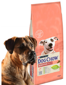 Dog Chow Sensitive łosoś 14kg