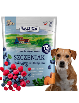 Baltica Szczeniak...