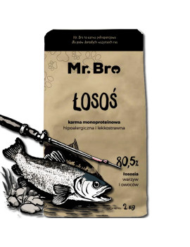 Mr. Bro Adult łosoś 2kg